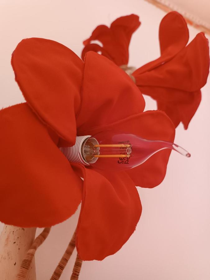 Faial da TerraAvo Da Rosa 2公寓 外观 照片
